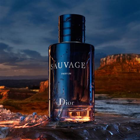 dior savage eu de parfum|dior sauvage 100 ml price.